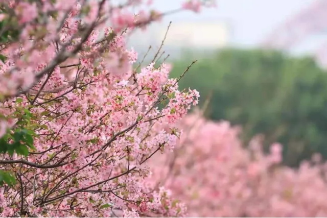 6385d9e2-c167-4149-a9e3-e41c1563efda