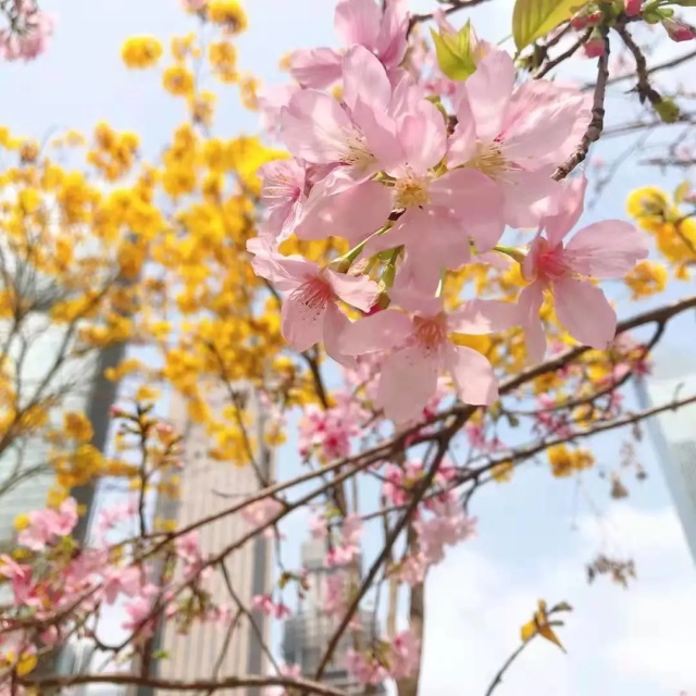 71690b12-d377-42f9-9b7b-3a1e31bc7be2