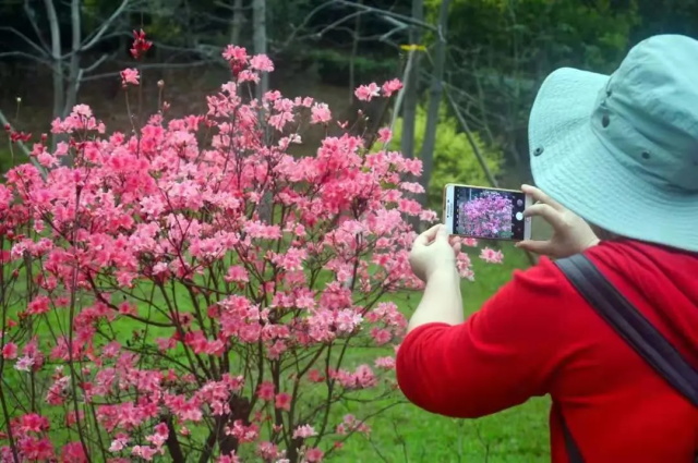 8f636804-8ef5-4223-8736-8c1de165c6e7