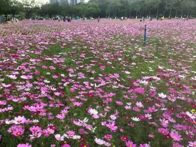 a2d9e001-2d42-492a-938e-138772442f04