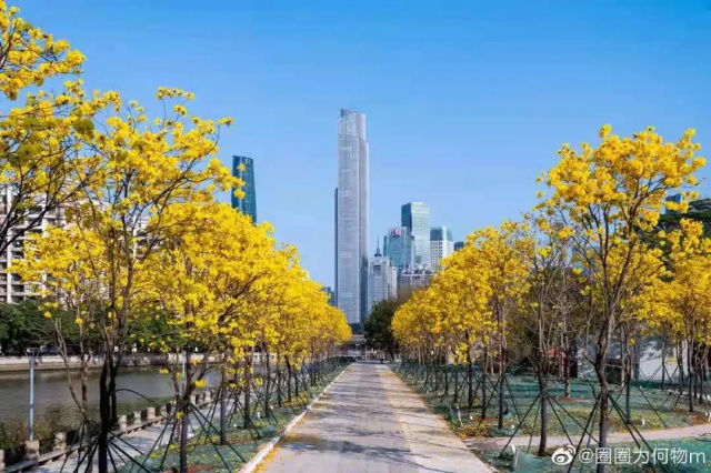 b64ae514-dc90-4256-95a0-4d77a6ec545b