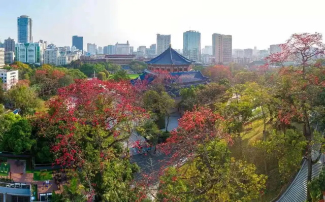 c035b338-b985-403d-bfdd-0fcc3870b178