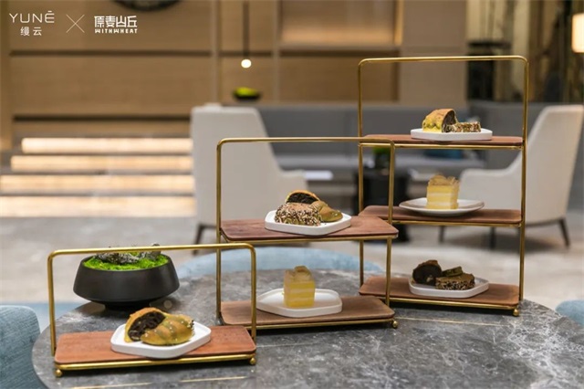 a44cad58-a6a8-40b4-af55-bcba2dbb55d6