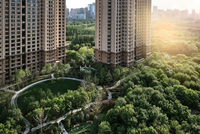 9c172e85-cabb-42ce-8117-35ff4579f525