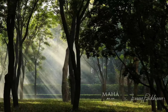 c4933cab-c2a7-4f65-9876-b982765d3550