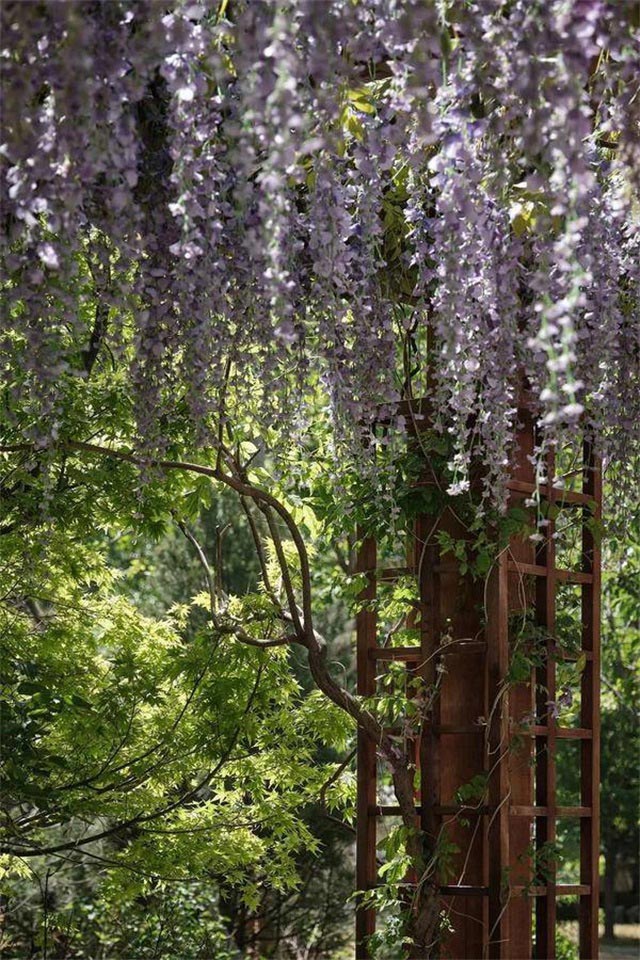 12c6a31a-d5b9-420d-a9d8-6fcd96351cb9