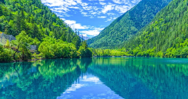 ff4538b3-e03a-447e-b9b9-5d40d7a79b8c