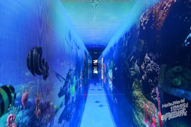 ca2fed10-4111-40ed-85b5-651f515c232c