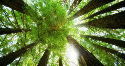 1aebda73-34f7-46db-a491-bb7db617096a