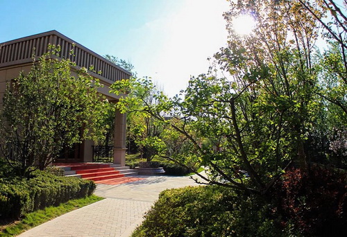 acba4227-8802-499f-bb21-06dfe8877853