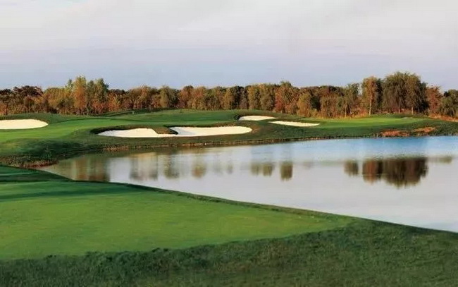 e1d76843-40cf-4f51-859f-51748cce55b4