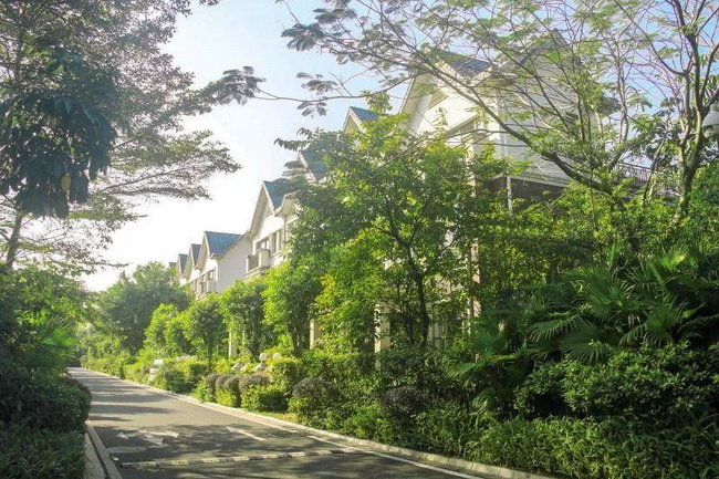 fd95dfbd-3138-4a22-9bf7-4f5702984388