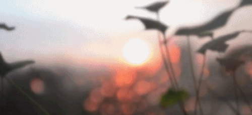 666ed26c-9003-45fd-ae46-35093fbd4ecd