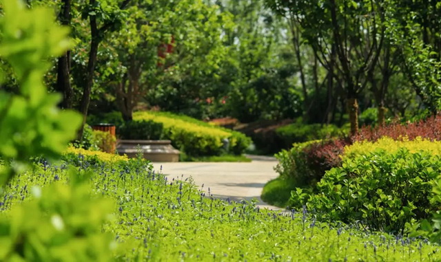 a3192f4c-1745-4c8a-ac2b-873d0128e83f