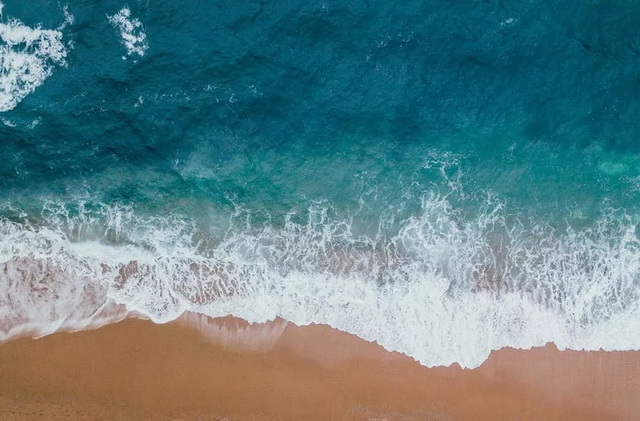 fb11b454-ebf4-46ce-9b8e-9d346d4ca418