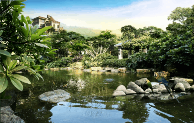 0a8b4998-a3fa-4ab7-9721-c5986c5ea912