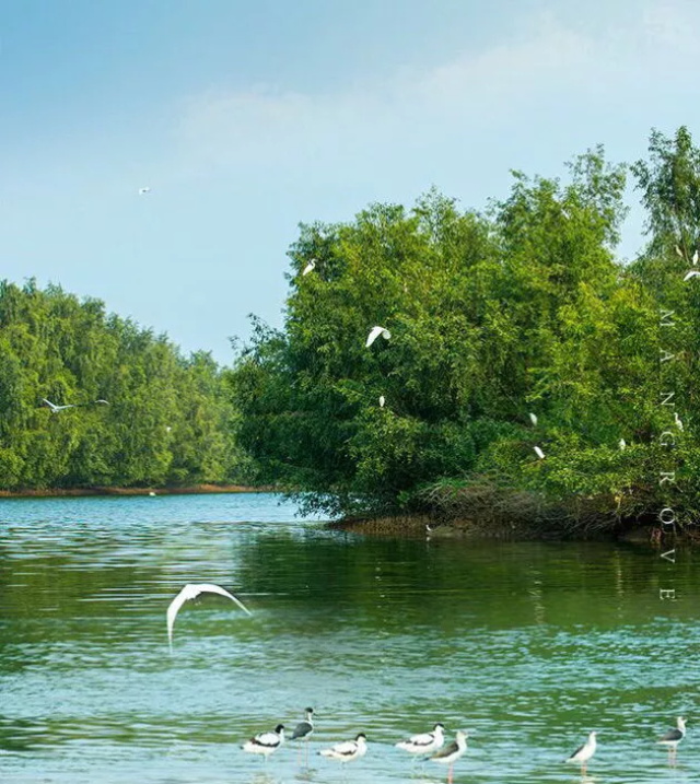 1a28dbb2-053d-4d5f-8ab4-fcbda1b7cfac