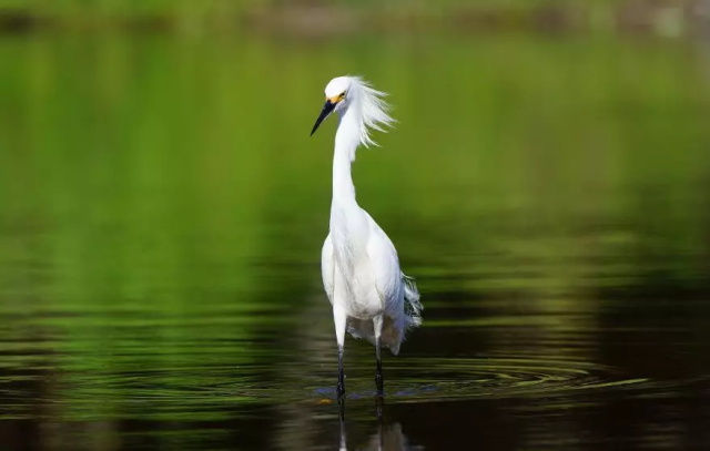 20245b5c-115f-4762-bef7-e87def7c6431