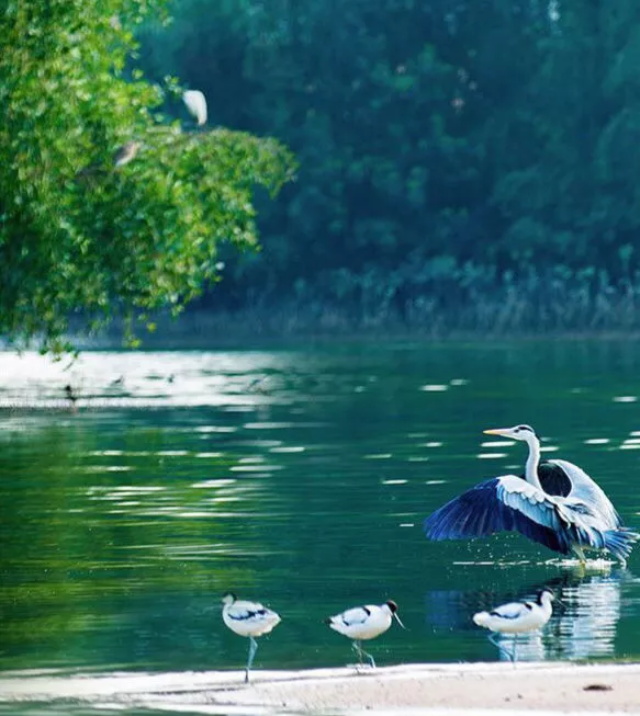 209b59d2-453e-4dcb-9ce7-0f38f2b69413