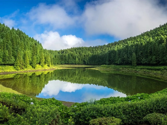 8c62b2a0-e0ab-4be9-bf54-93f375cf06eb