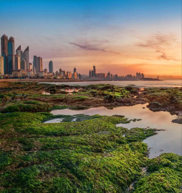 8e35f46f-ccc2-4a4b-ac43-e1aa8e1afb05