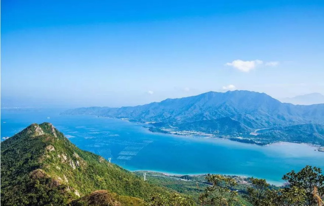 cfee5089-07cb-4294-ae12-c7dce4f52904