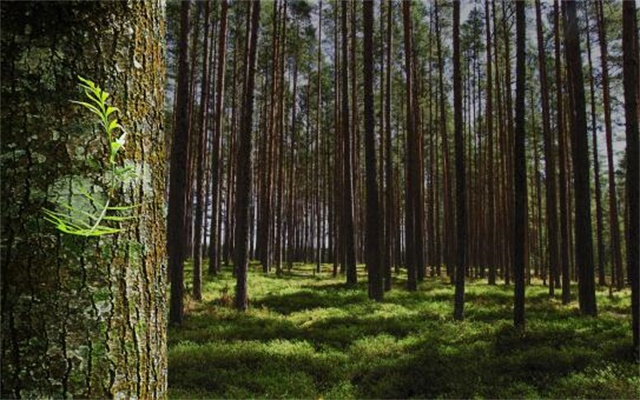 b6332899-38c5-454e-8ef3-b157a3429e50