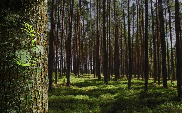 a53c7b36-86e7-4127-84ca-46a0854308a2