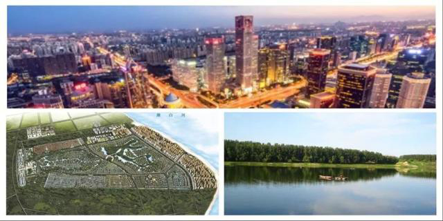 c88f7a22-1a2d-4b84-b42d-e9736c9f7705