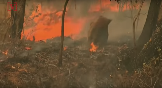 56430133-e436-4a9c-8e15-2eab80fb1f50