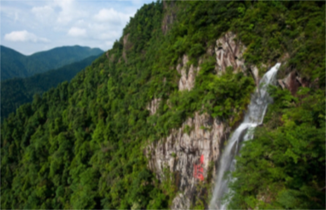 9c181e8f-16ed-435b-9fc5-208635d202a6