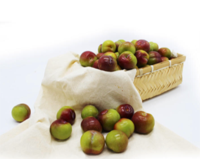 cefd2f4c-53f5-40b2-8cb9-92293e044558