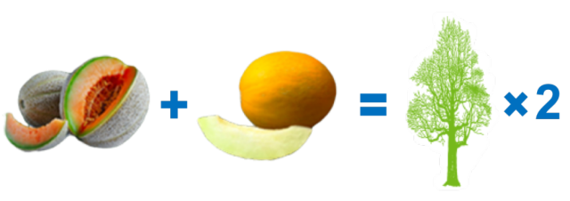 ab7de886-90b2-4bc6-8c0a-10634828cb22