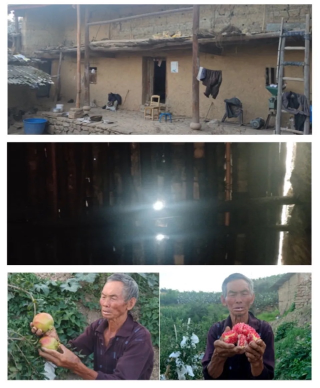 1a590487-55f5-4970-b55f-8310798c1e06