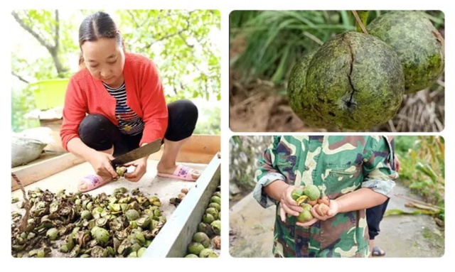 5969f80a-68d9-4d69-8625-6be382f45cd3