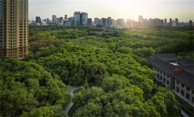 cb4663d7-3ddf-4868-81d2-62074461137b