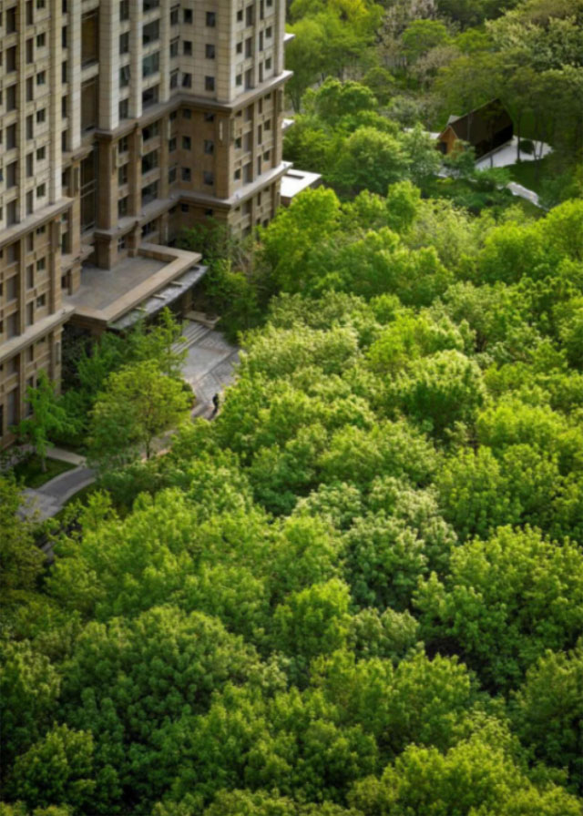 0500fbf3-96d0-437f-a1f4-fc3f97c63fd5