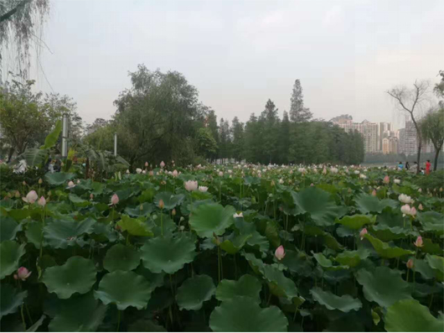 d7e7bfbf-5a50-441f-beb6-2f9df15319de