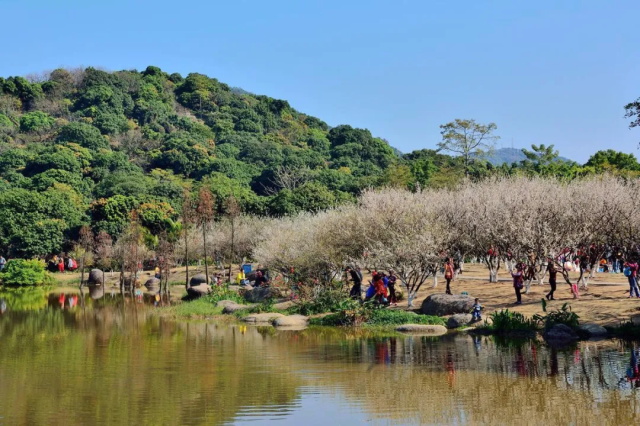 8717dc6e-143a-4809-aefb-cf2f7244d6a1