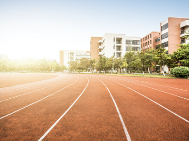 d09e7ab1-9d47-4f18-b682-cf2289abced1