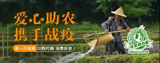 db0ee1b0-6961-4ddb-b8e3-90f9ee999e1d