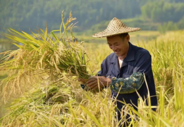 48ff40ce-f5b7-42f3-af4e-a8badfb3ec6f