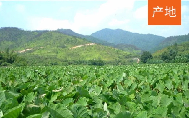 5f747ac5-54a1-41f4-95e5-2c06569c4c77