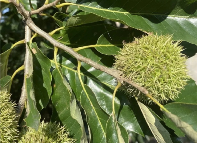 8797ec94-7d4f-4b38-8048-42237cafed2a