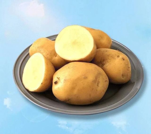 b1b6fb08-1766-47d7-8bad-9aceaa7410cb