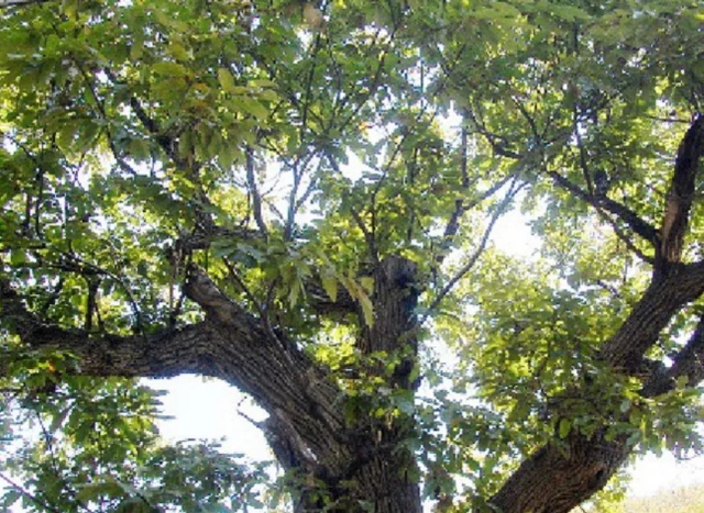 d21c6ef8-d2ab-4d72-89fd-6613eccb0963