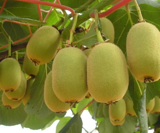 eb8425c2-38c8-43ad-8afe-262783d0601b