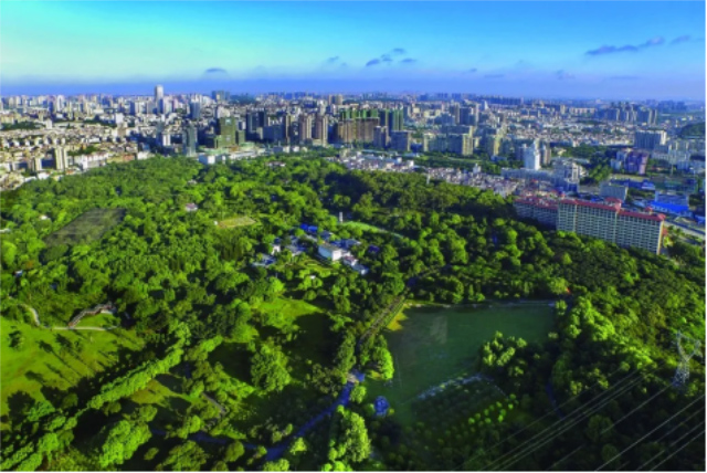 95187700-1850-4590-9fb3-98b6596d1893