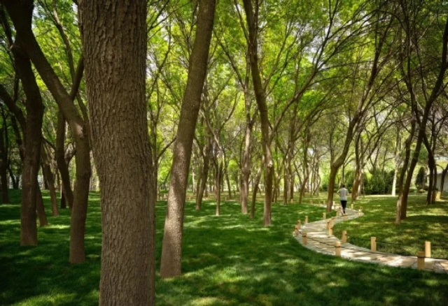 19f6f6e9-02e1-4f8f-b315-f0f5f9519a65