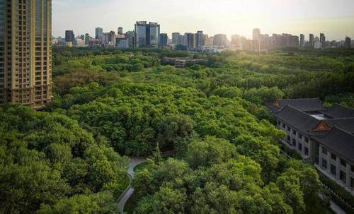 6376669854538261105353693